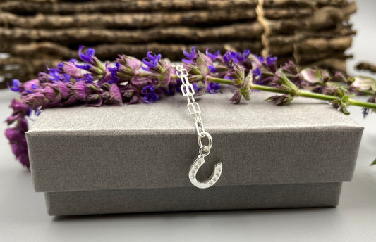 Horseshoe charm skinny trace chain necklace in Sterling Silver