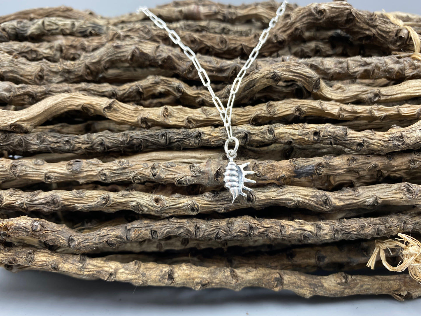 Conch charm skinny trace chain necklace in Sterling Silver