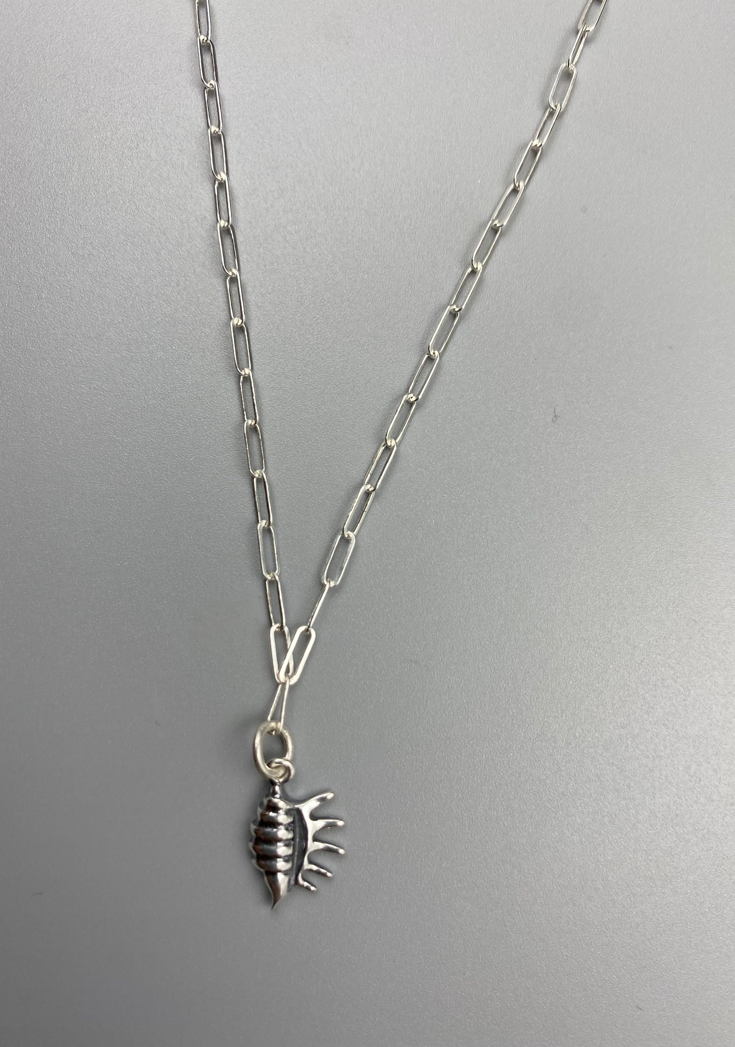Conch charm skinny trace chain necklace in Sterling Silver