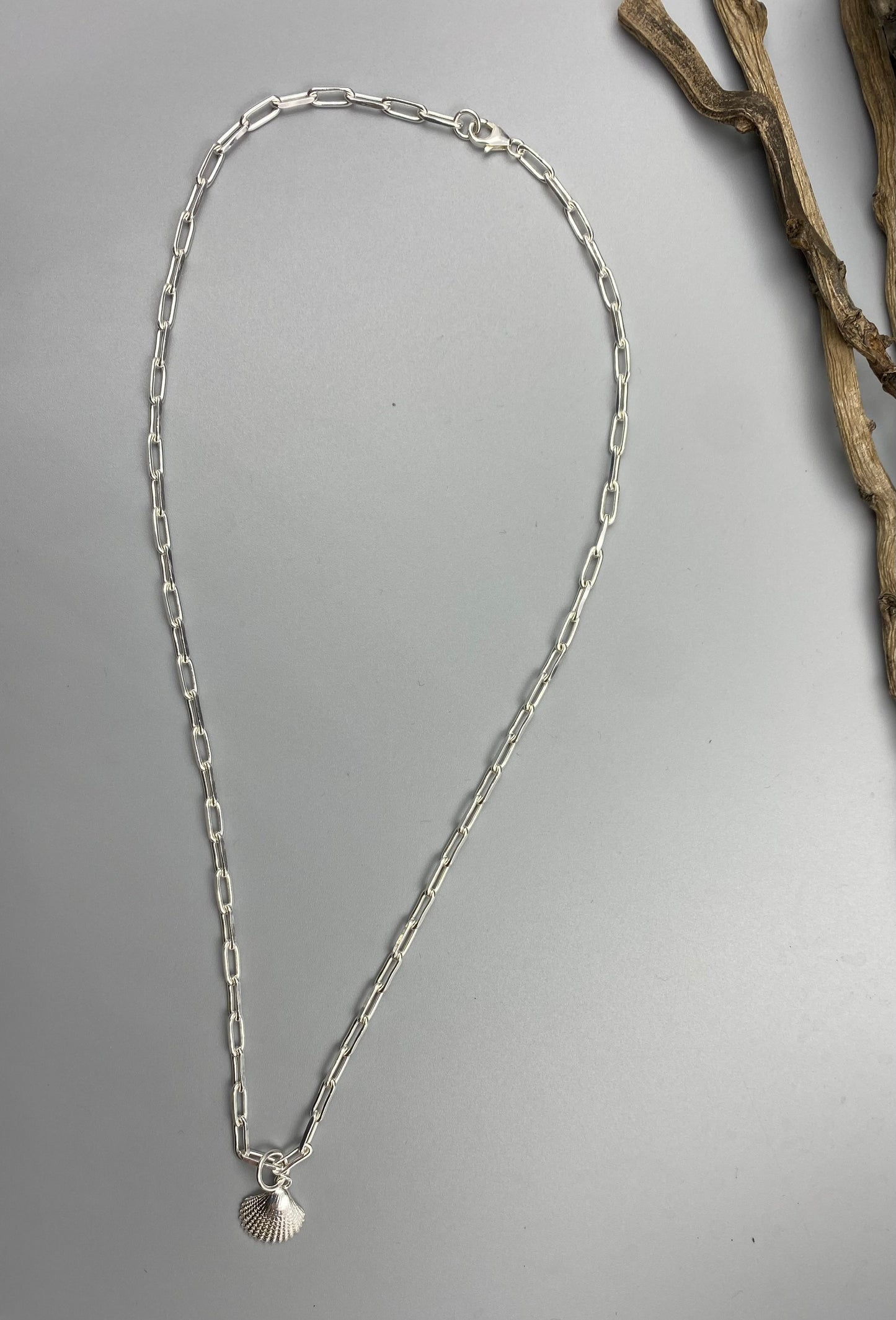 Scallop charm trace chain necklace in Sterling Silver