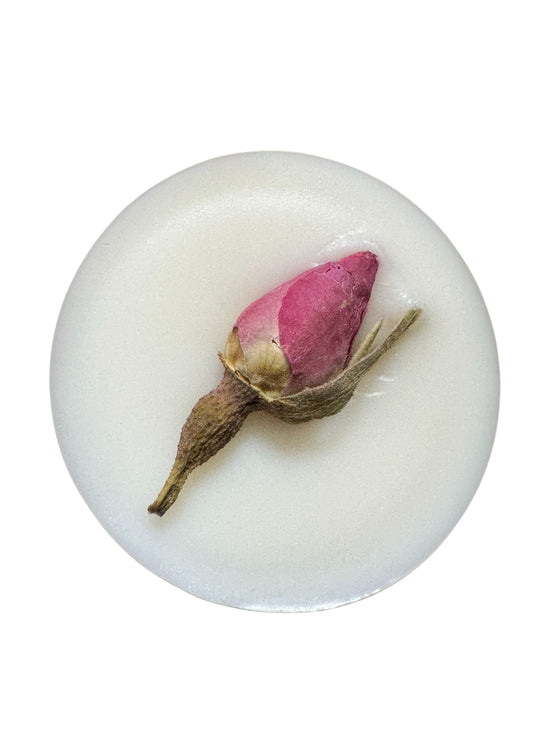 Pomegranate Rose