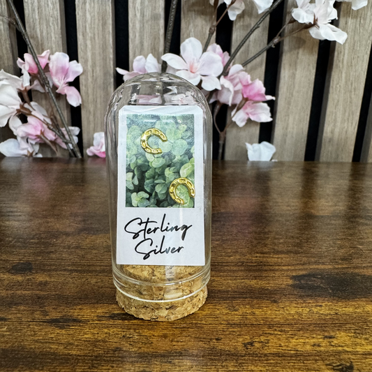 Horseshoe - Gold Polaroid