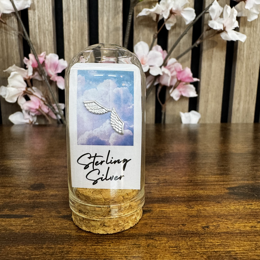 Angel wings Polaroid