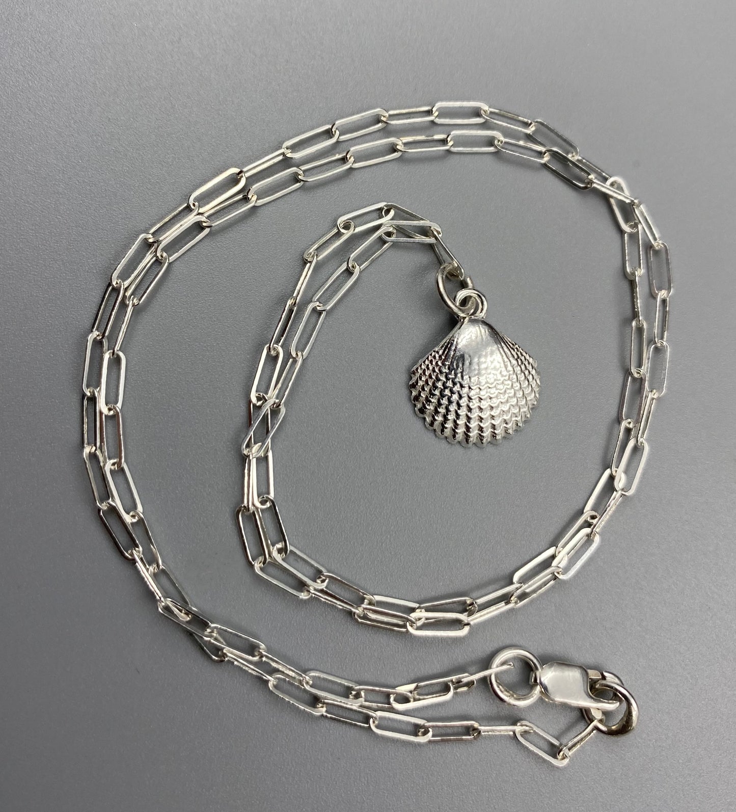 Scallop charm skinny trace chain necklace in Sterling Silver